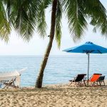 ca chuon space cover