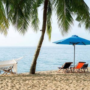 ca chuon space cover