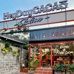 heyday cacao station cover