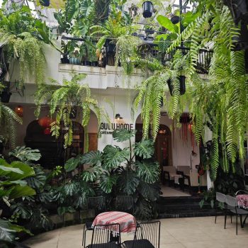 gulu-cafe-khong-gian-11