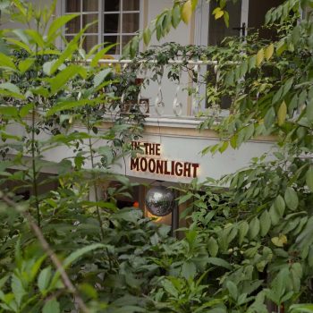 in-the-moon-light-cover